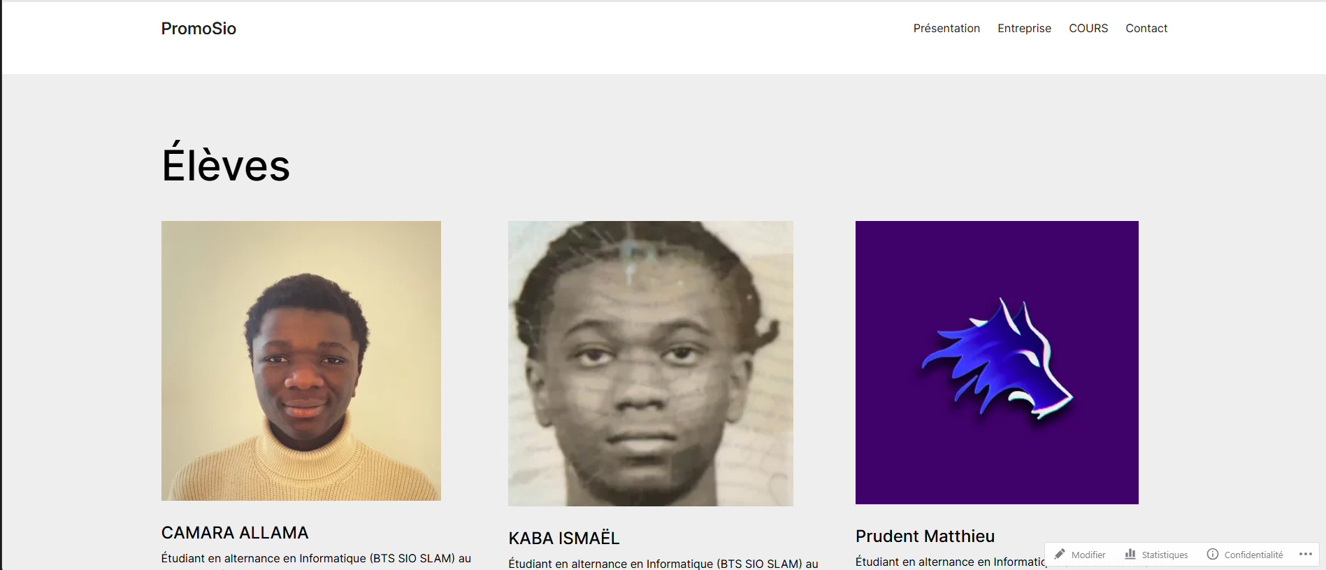 Portfolio WordPress